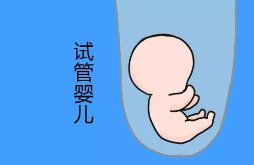 周顾问